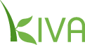 kiva 121x64